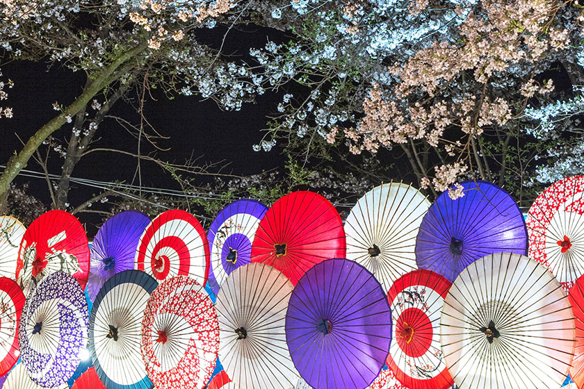 春の幻想的な夜景を満喫！「鬼怒川温泉夜桜ライトアップ2022」
